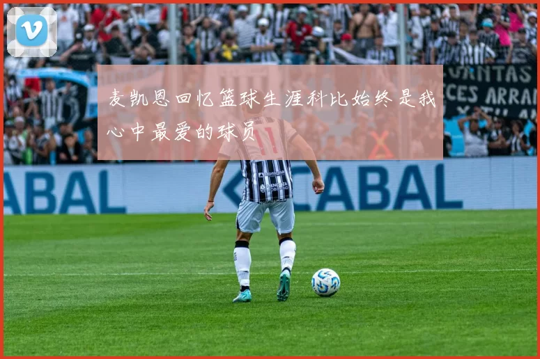 麦凯恩回忆篮球生涯科比始终是我心中最爱的球员